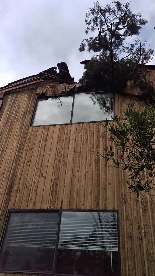 A tree is sitting on top of a wooden building.