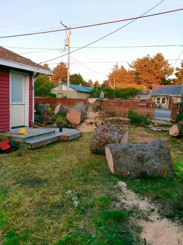 A lot of logs are laying in the grass in front of a house.