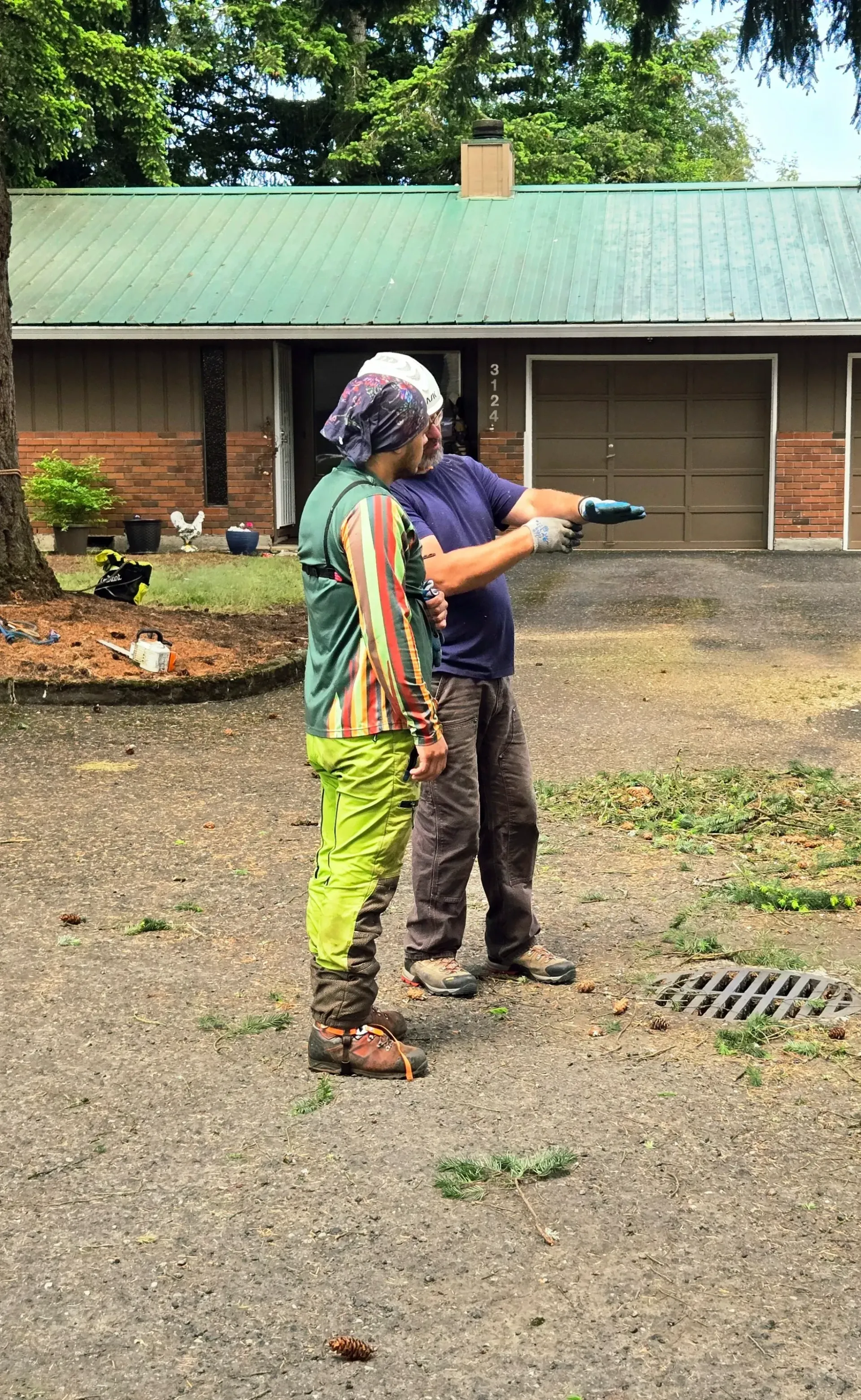 two tree experts talking