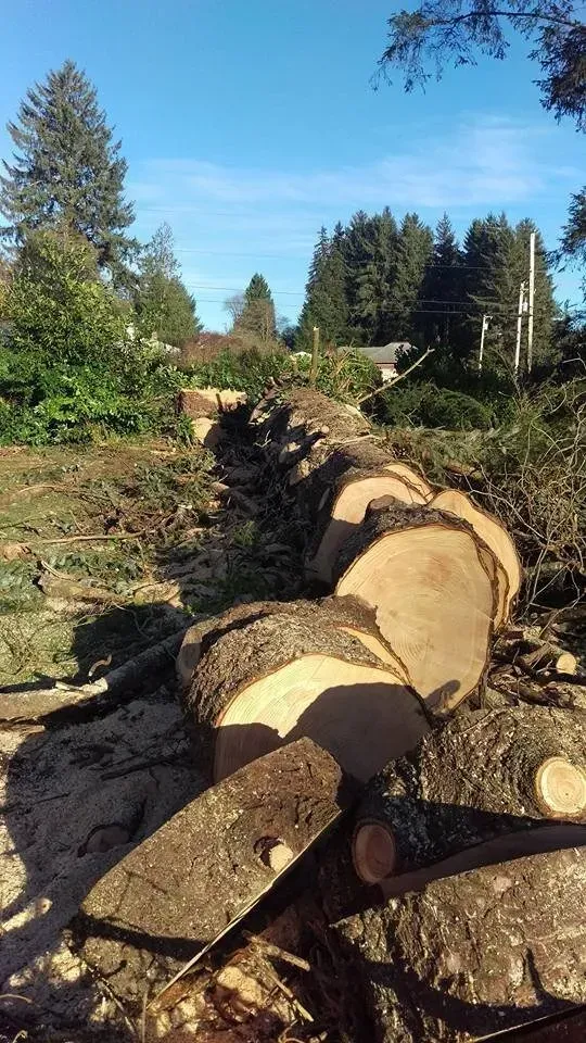 A pile of logs sitting on top of each other in a field.
