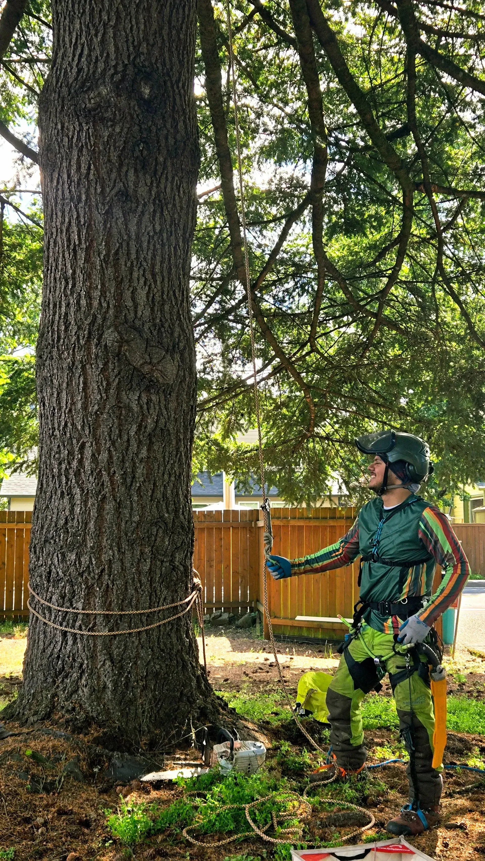 A man is standing next to a large tree.