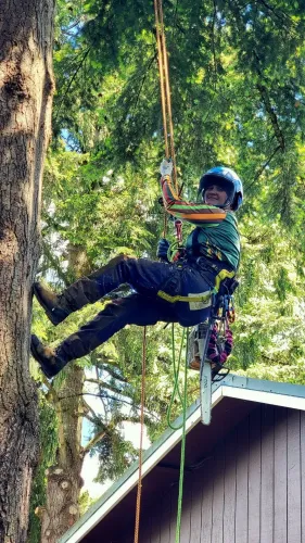 A man is climbing a tree with a chainsaw.