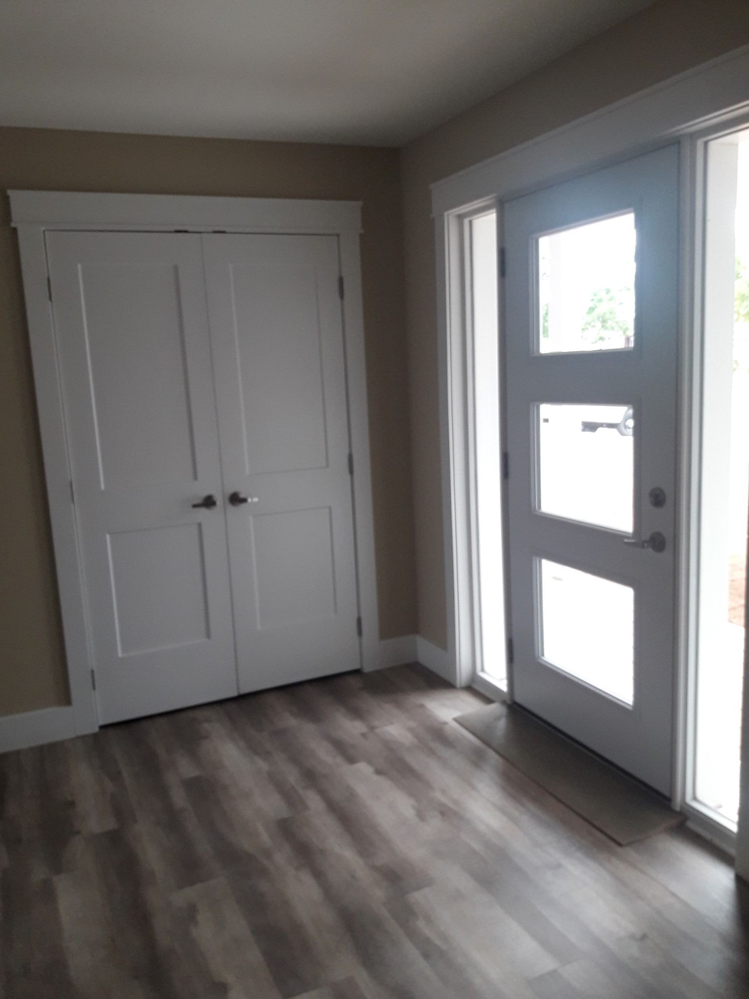 An empty room with hardwood floors and a white door.