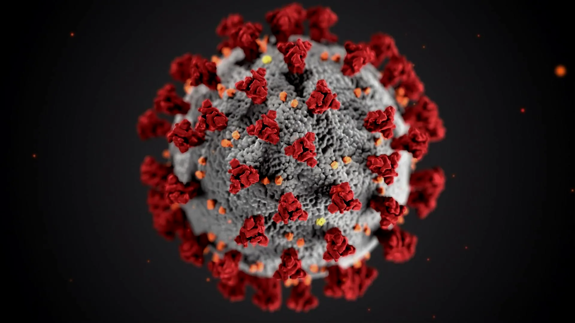 a close up of a virus on a black background .
