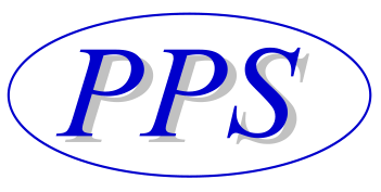 Peitler Personal Service Logo