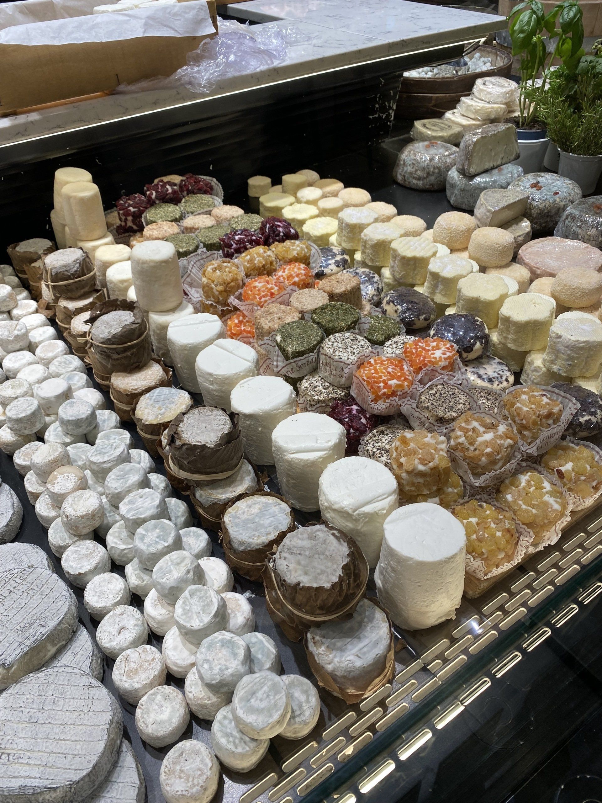 A display case filled with lots of different types of cheese.