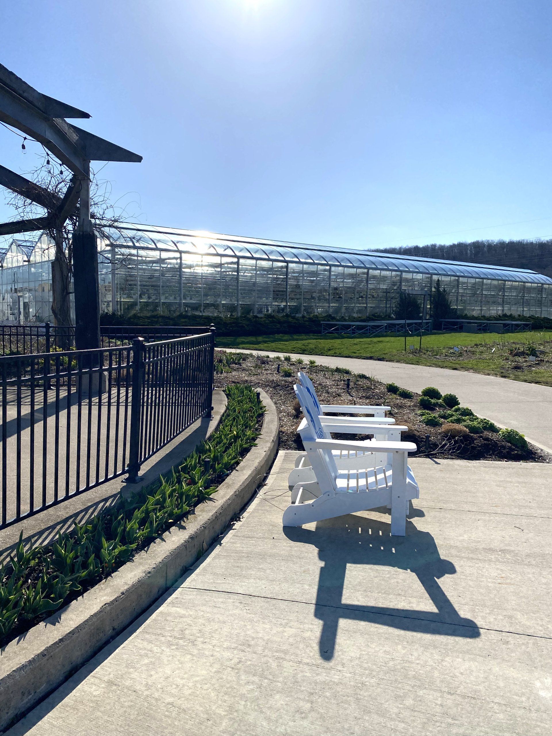 Two white chairs are sitting on a sidewalk in front of a greenhouse.