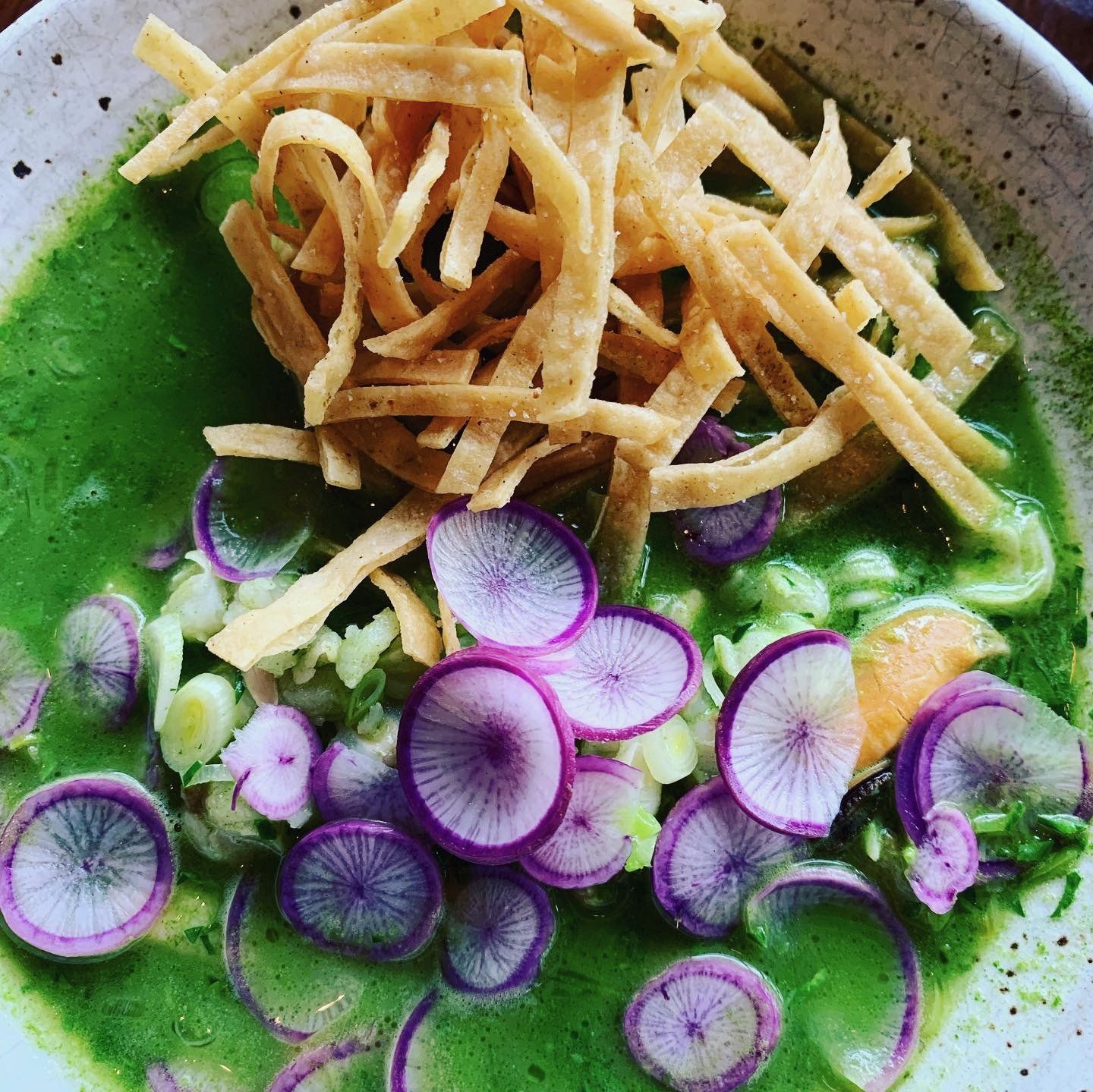 A bowl of green soup with purple radishes and tortilla strips on top.