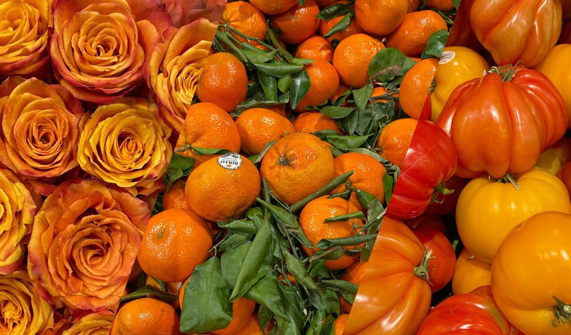 A pile of oranges and tomatoes next to a pile of roses