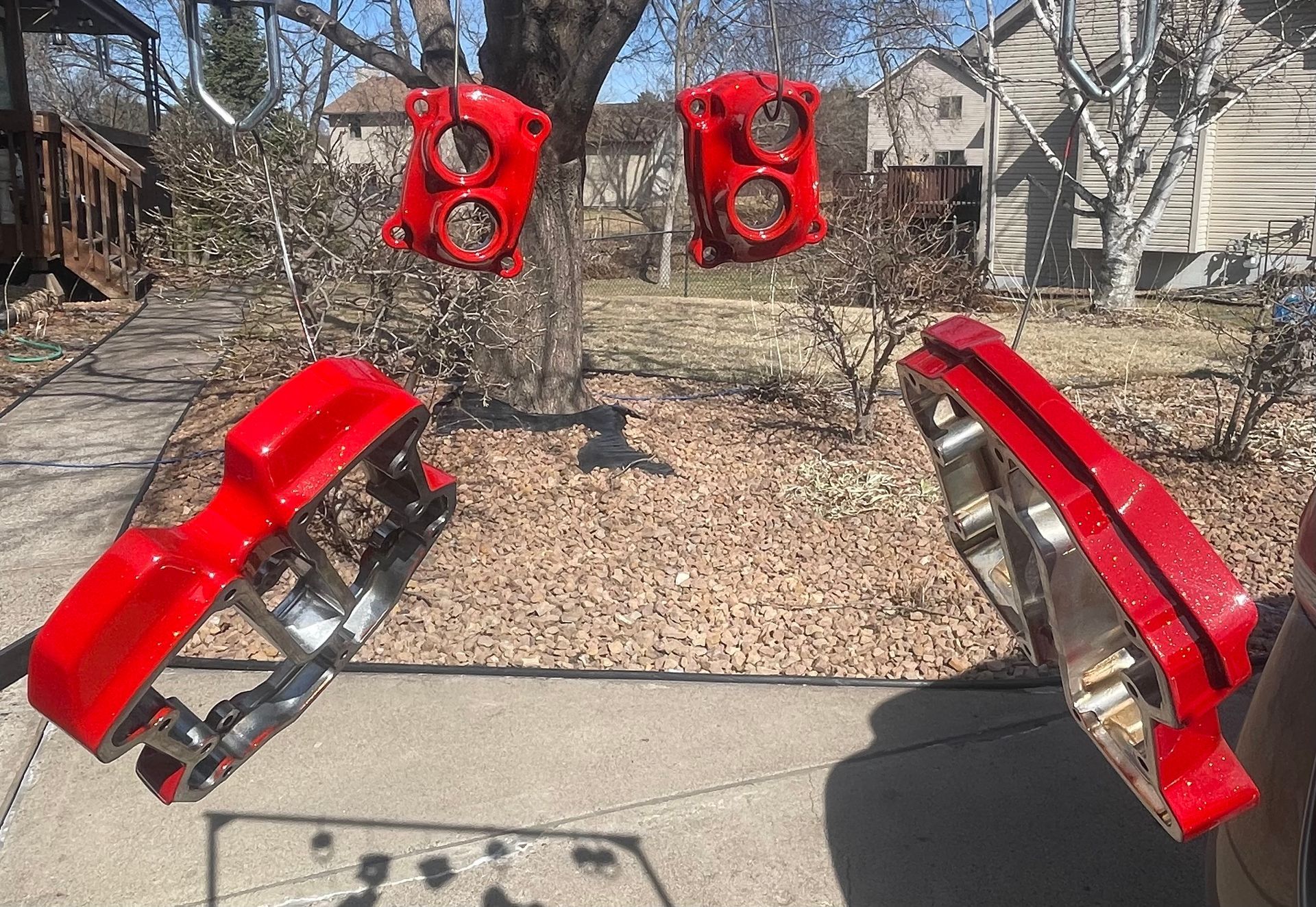 Four bright red, freshly painted car brake calipers hanging to dry from a tree in a residential backyard.