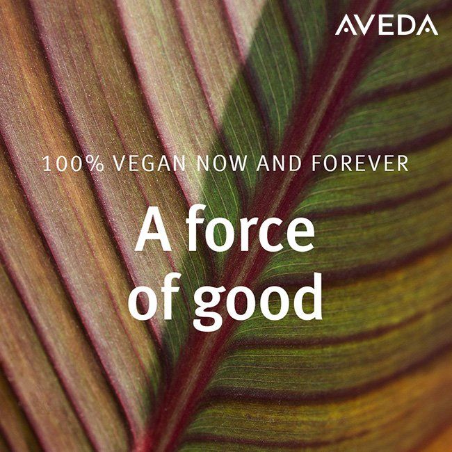 Aveda 100% Vegan — La Mesa, CA — Pret-A-Porter Salon & Spa