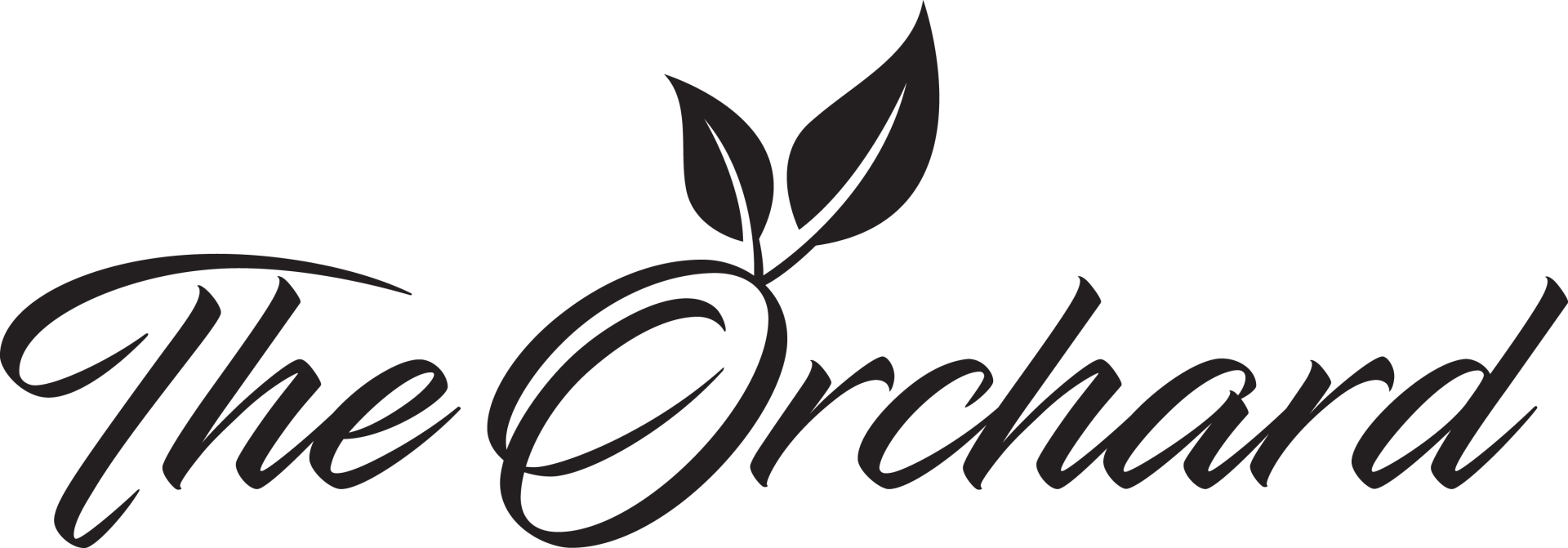 Our Recommended Wedding Event Suppliers | The Orchard