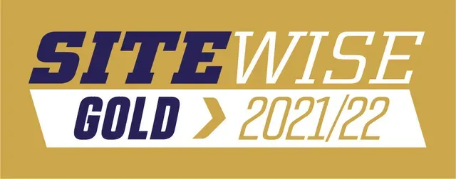 Site Wise Stonemason