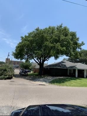 There is a large tree in the middle of the street in front of a house.