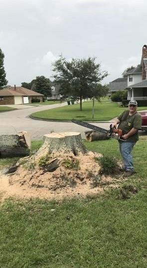 A man is cutting a tree stump with a chainsaw.