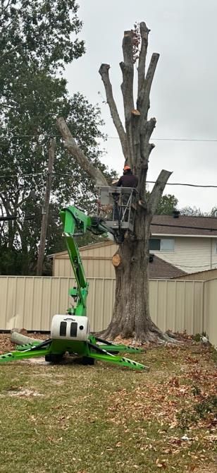 A man is cutting down a tree with a crane in a backyard.