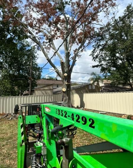 A green tractor with the number 352-4292 on it