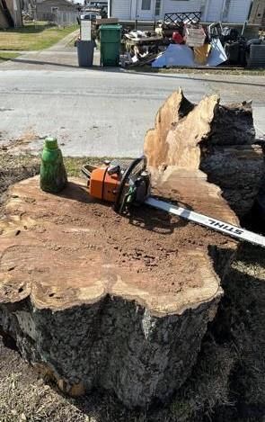 A chainsaw is sitting on top of a large tree stump.