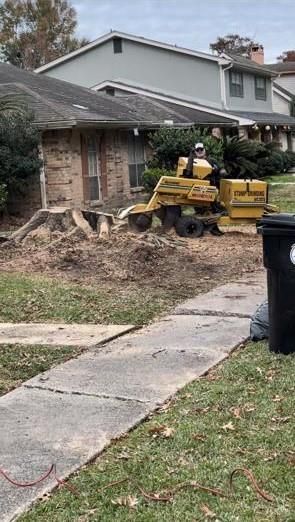 A stump grinder is being used to remove a tree stump in front of a house.