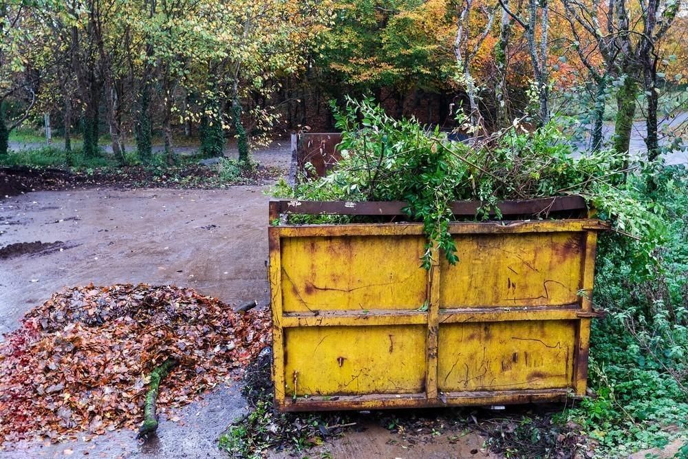 A yellow dumpster filled with leaves is sitting in the middle of a forest.