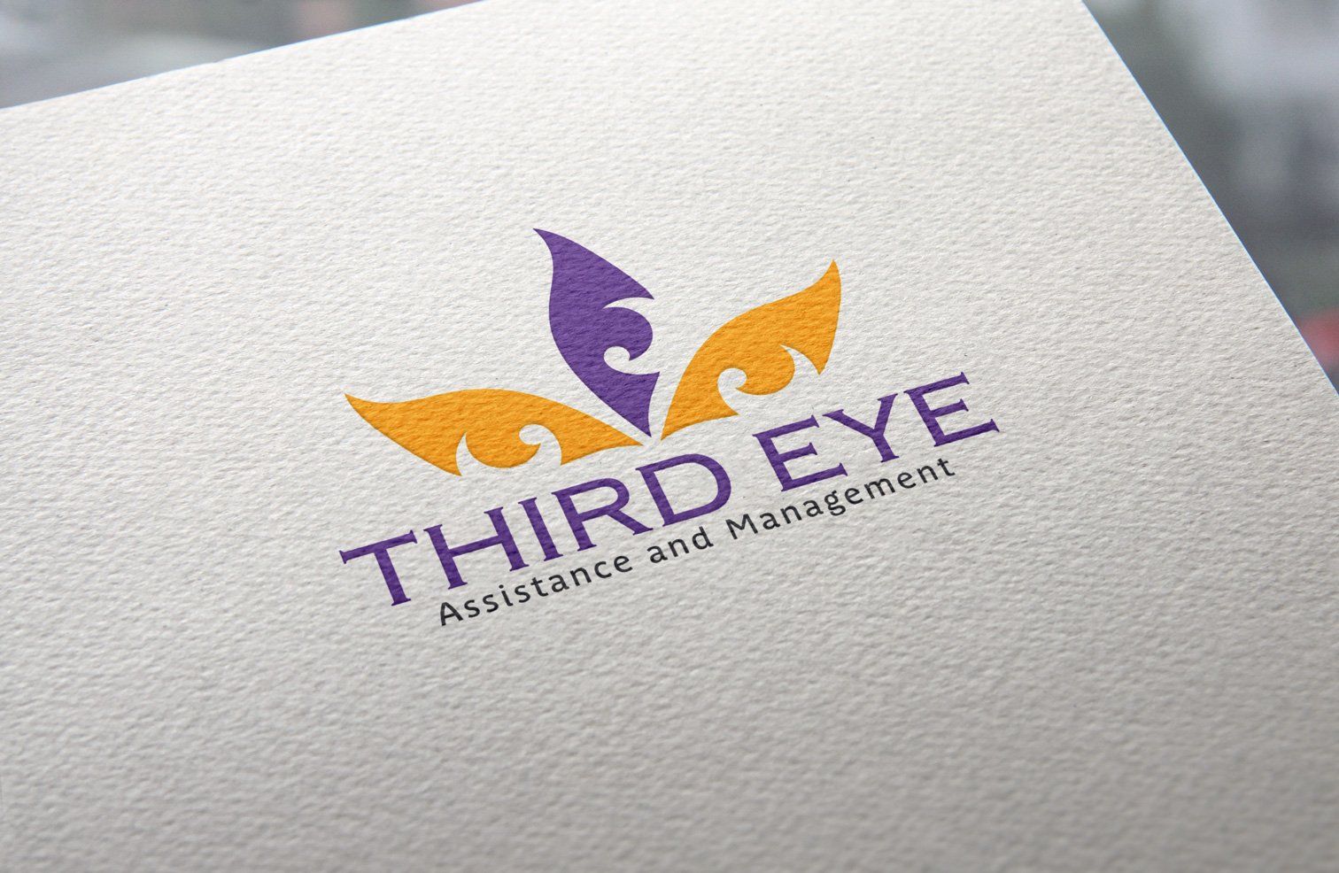 Third Eye Assistance and Management logo