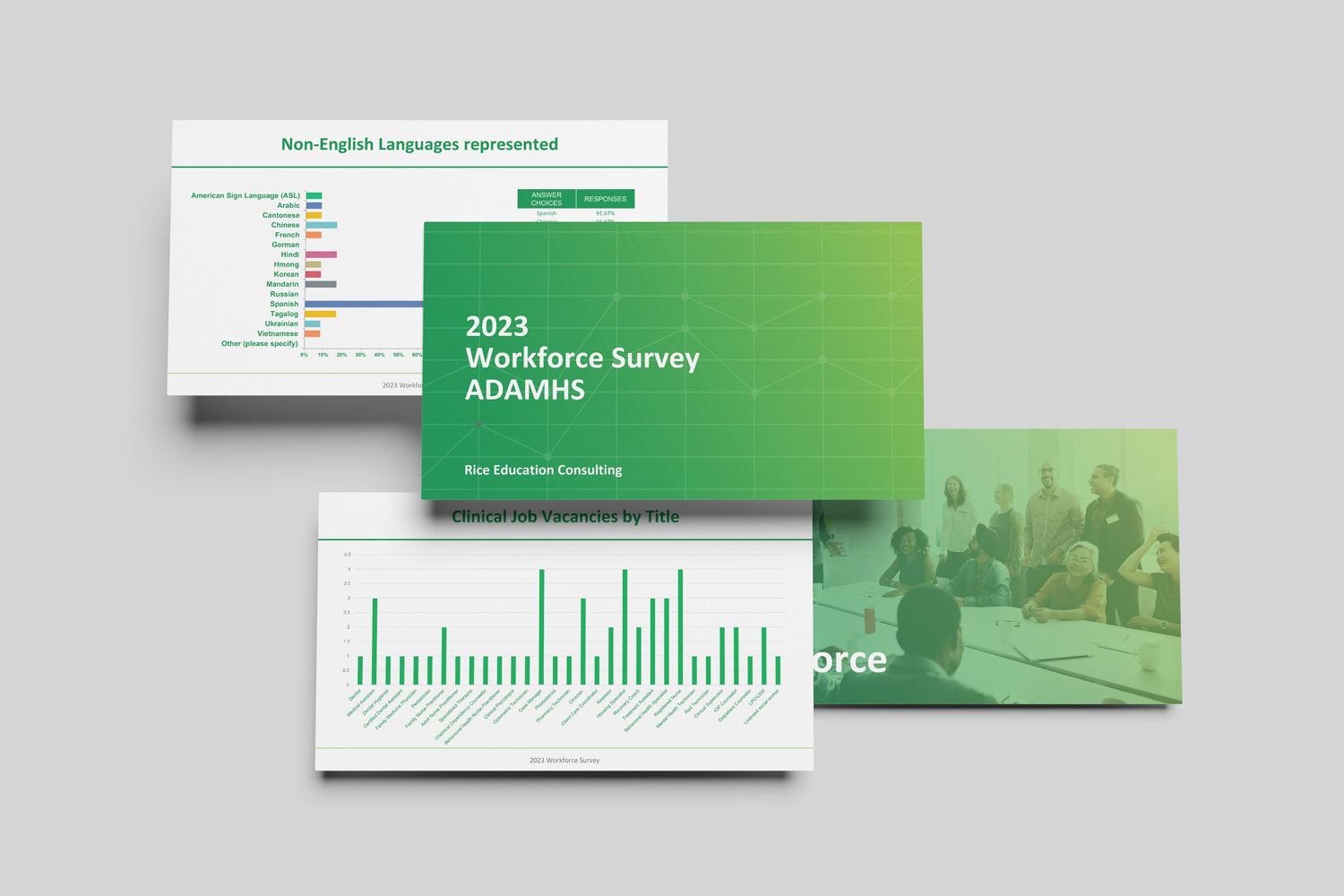 Rice Education Consulting powerpoint