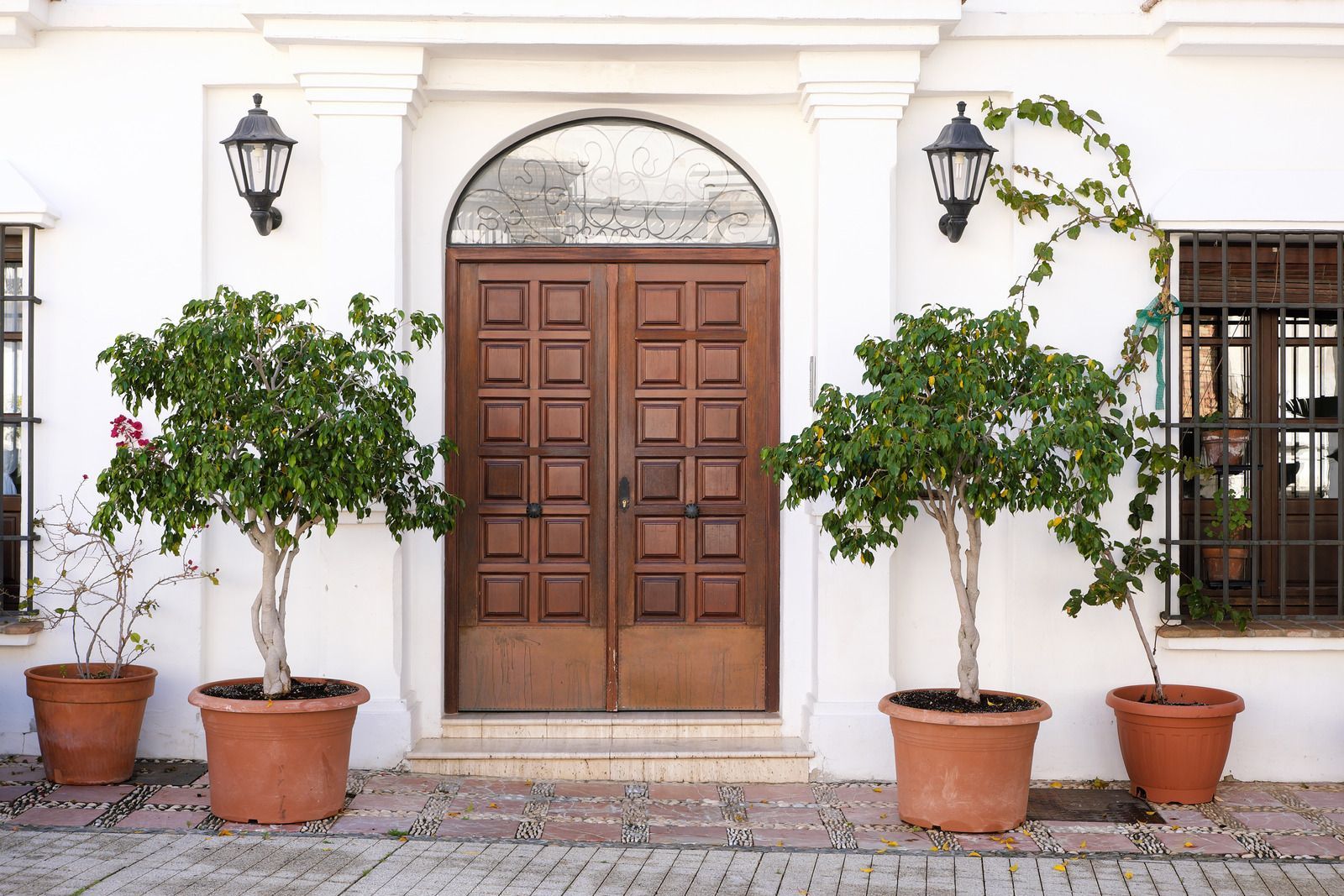Brown door with square panels, flanked by potted trees, against a white building with black lanterns.