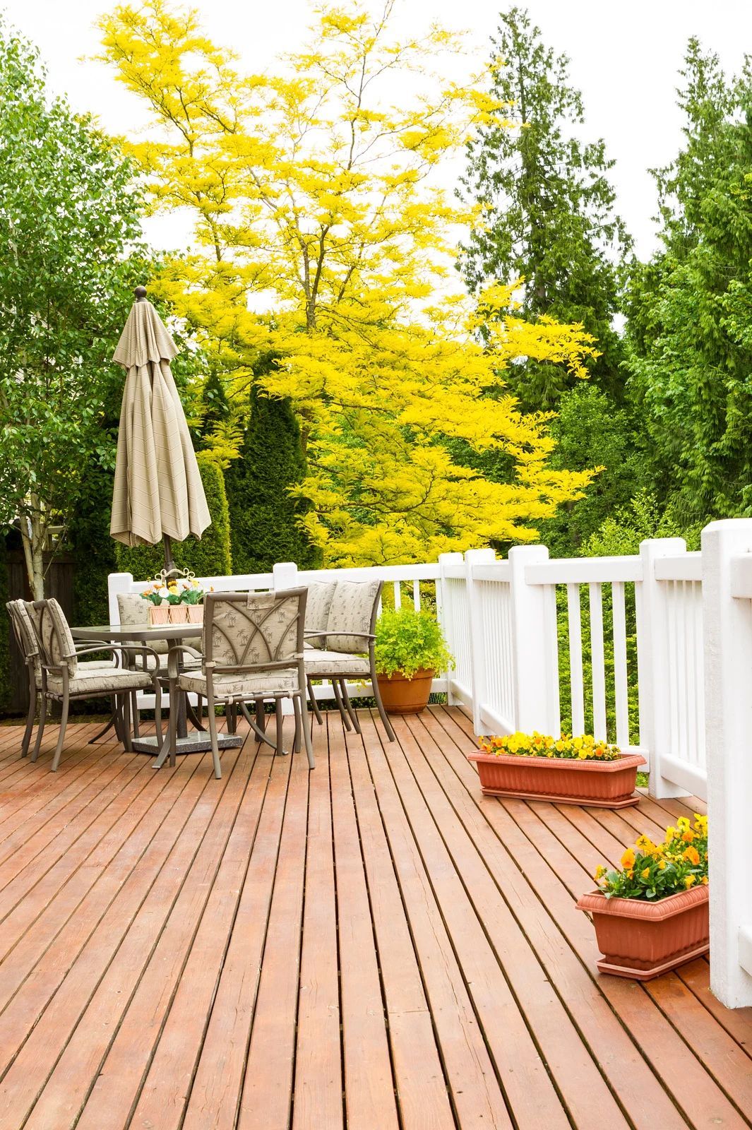 Wooden deck with outdoor furniture, potted plants, and an umbrella, surrounded by trees.