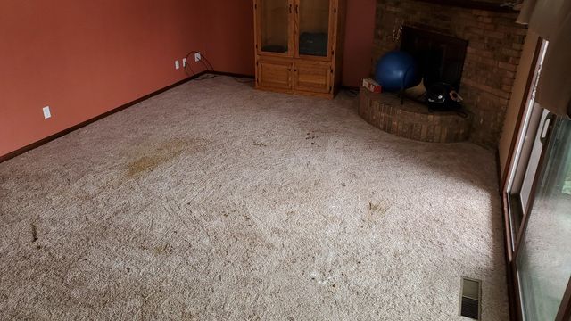 https://lirp.cdn-website.com/de33b100/dms3rep/multi/opt/Before+Carpet+Cleaning-0060694e-640w.jpg