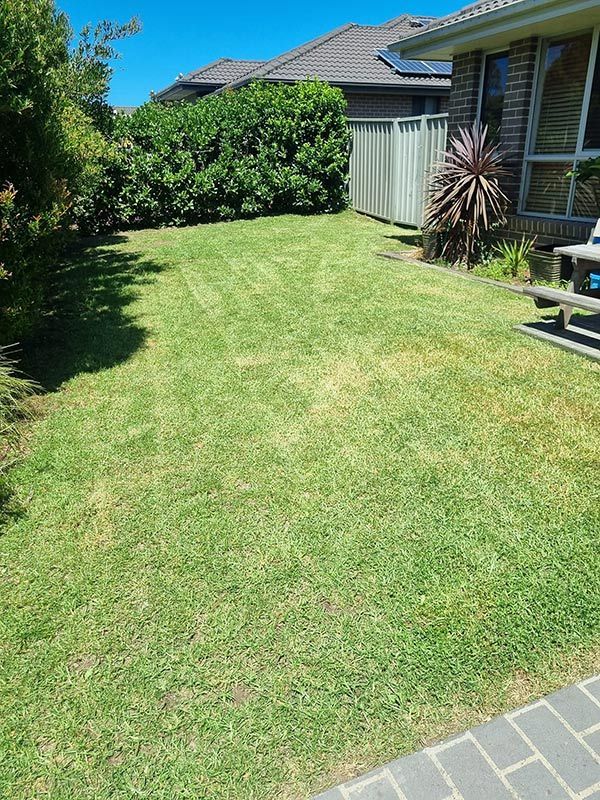 A Lush Green Lawn New Cut In Front Of A House — Jervis Bay Pressure Washing & Property Maintenance in Sanctuary Point, NSW