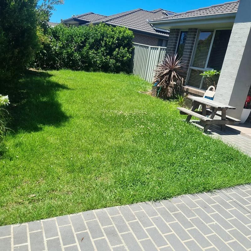 Before Cutting The Grass Lawn — Jervis Bay Pressure Washing & Property Maintenance in Culburra, NSW