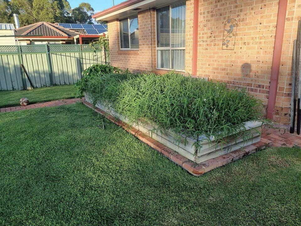 A Brick House With A Lush Green Lawn In Front Of It — Jervis Bay Pressure Washing & Property Maintenance in Vincentia, NSW