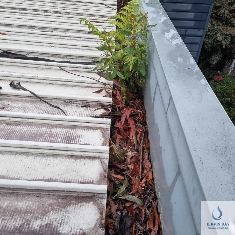 A Gutter With Leaves Growing Out Of It — Jervis Bay Pressure Washing & Property Maintenance In Jervis Bay, NSW