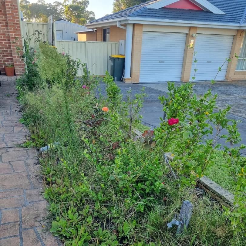 A House With A Lot Of Plants And Flowers — Jervis Bay Pressure Washing & Property Maintenance In Jervis Bay, NSW