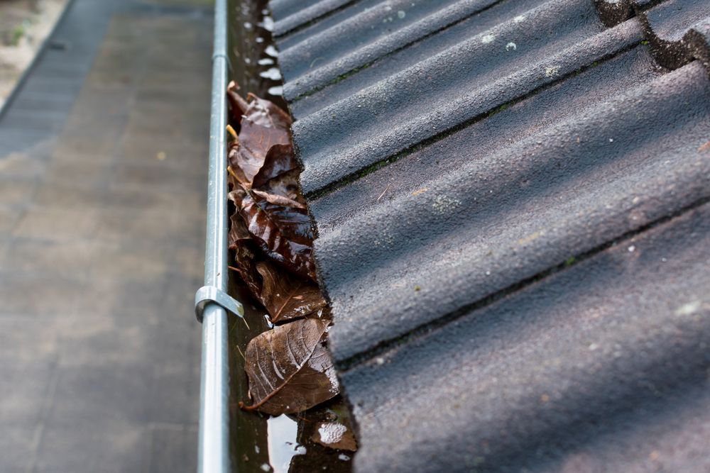 A Gutter Filled With Leaves And Water On A Roof — Jervis Bay Pressure Washing & Property Maintenance In Berry, NSW