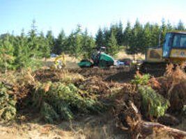 Clearing - Grading in Corvallis, Oregon