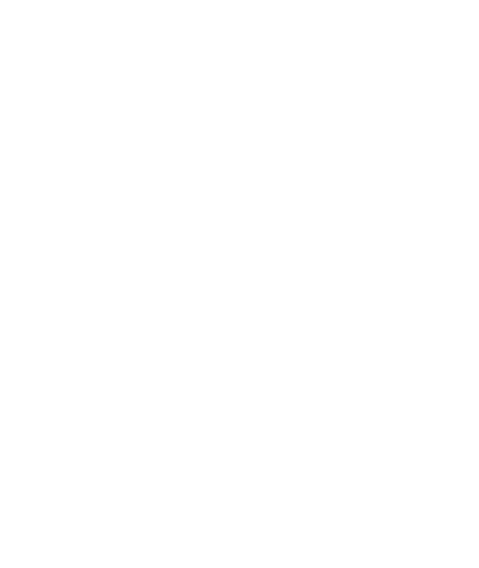 Blank white image with a faint gray border on the left edge