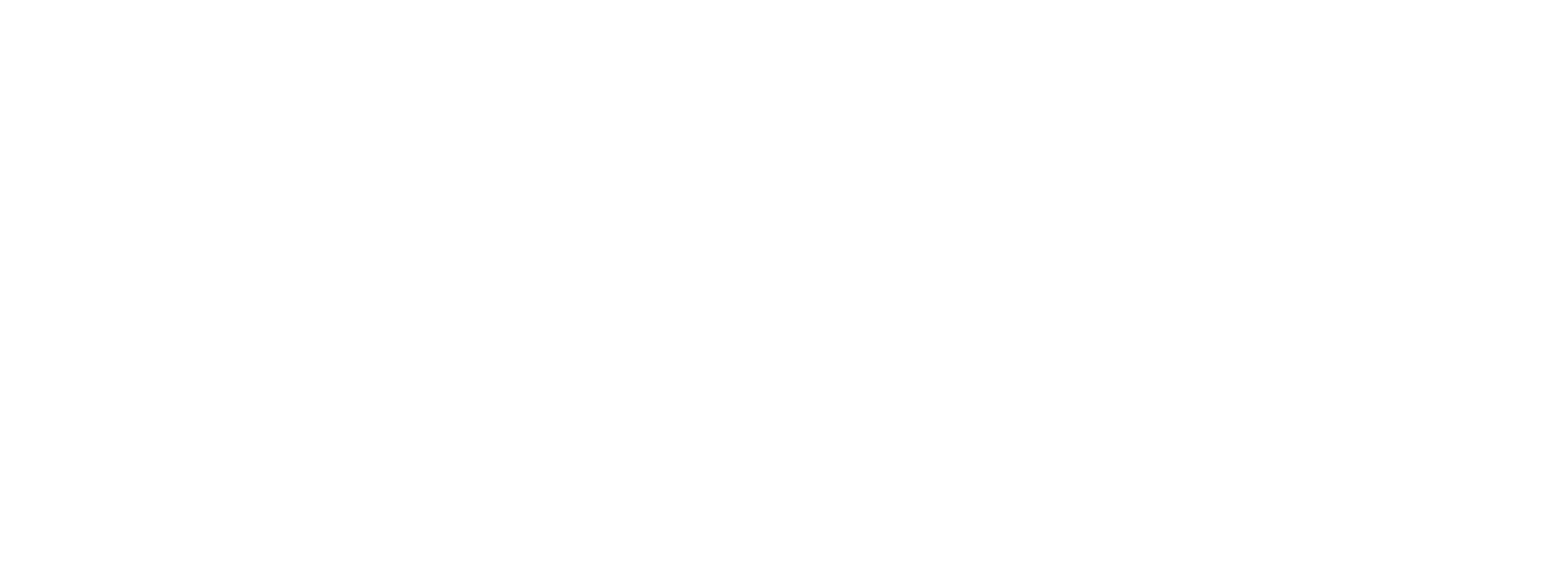 Berge Law P.A.