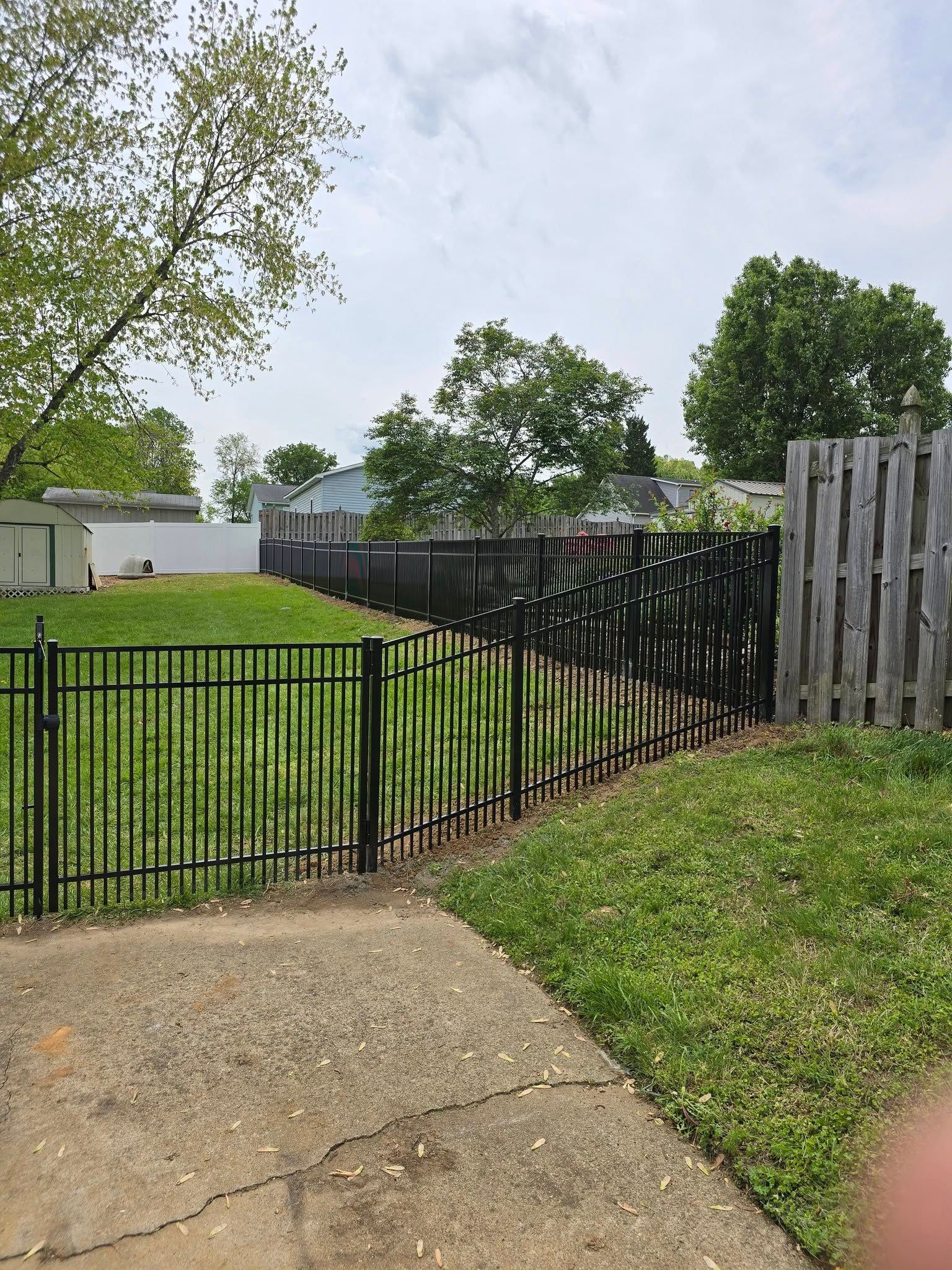 Black metal gate beside a concrete path, opening to a grassy yard with trees and a wooden fence.