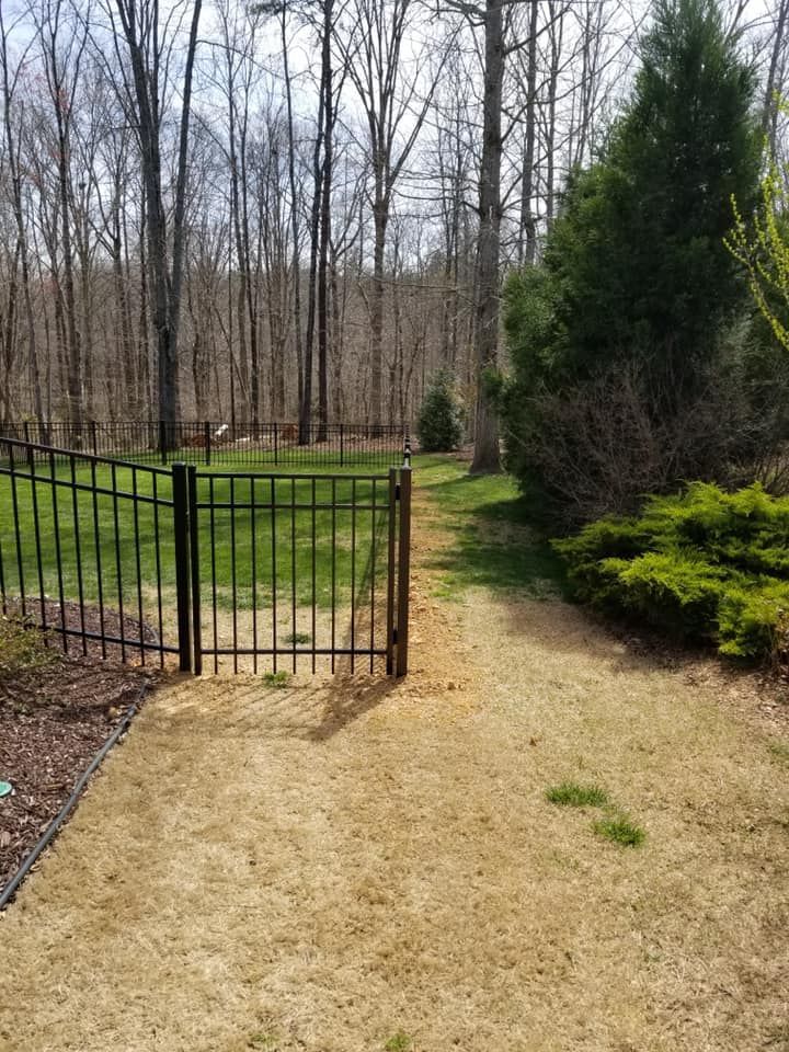 Open gate on a path through a grassy yard with trees and shrubs in early spring