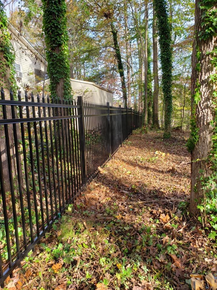 Tree-lined path beside a black iron fence, with fallen leaves and sunlight filtering through ivy-covered trunks.
