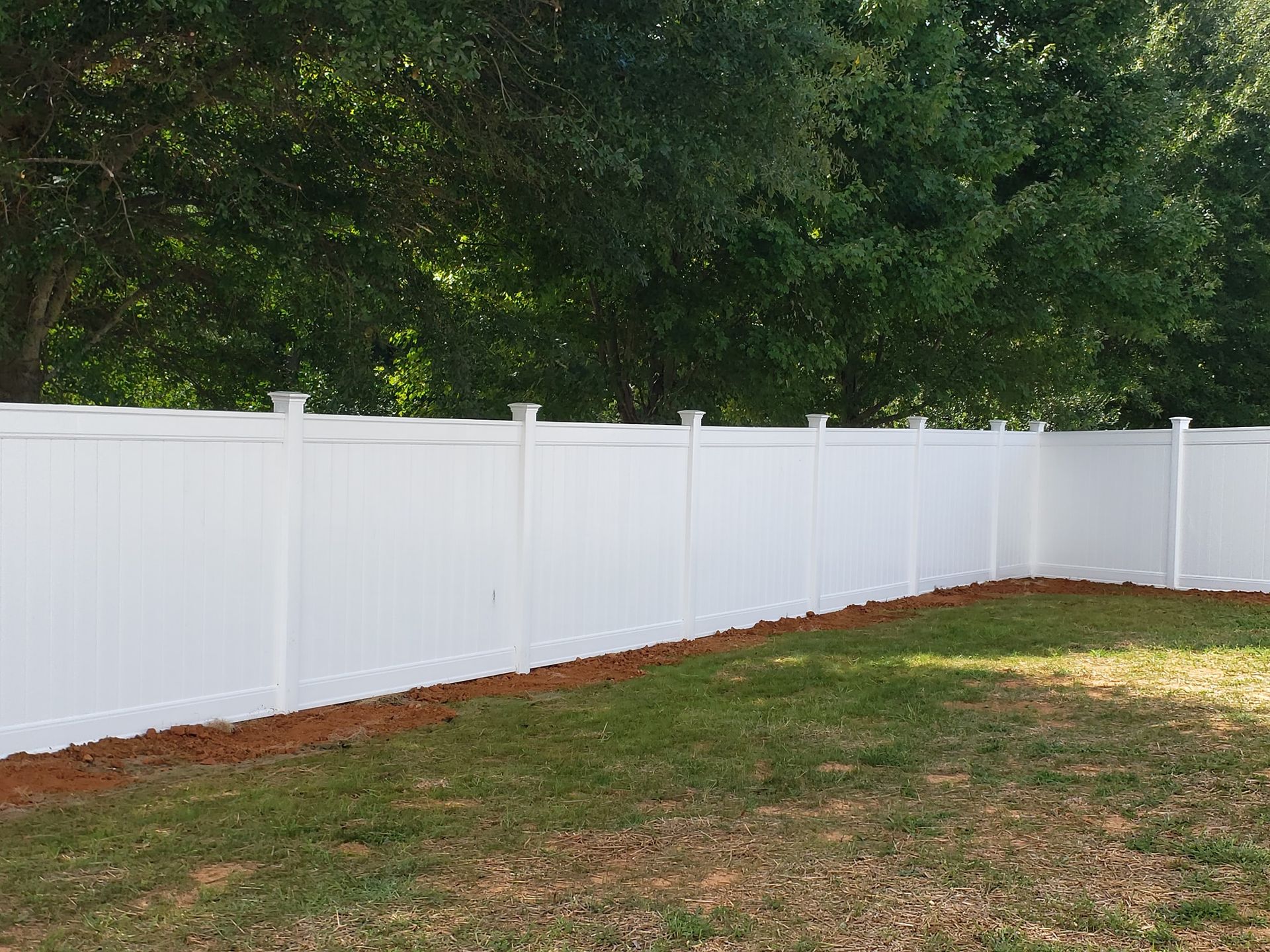 White vinyl fence along a grassy yard with tall green trees in the background.