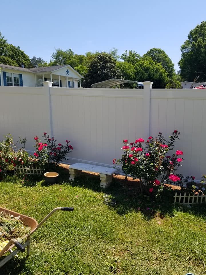Backyard with white fence, green lawn, and pink rose bushes under a sunny sky