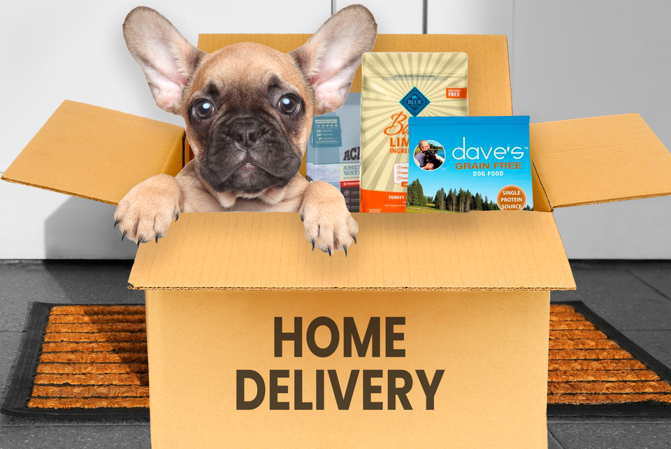 home delivery dog