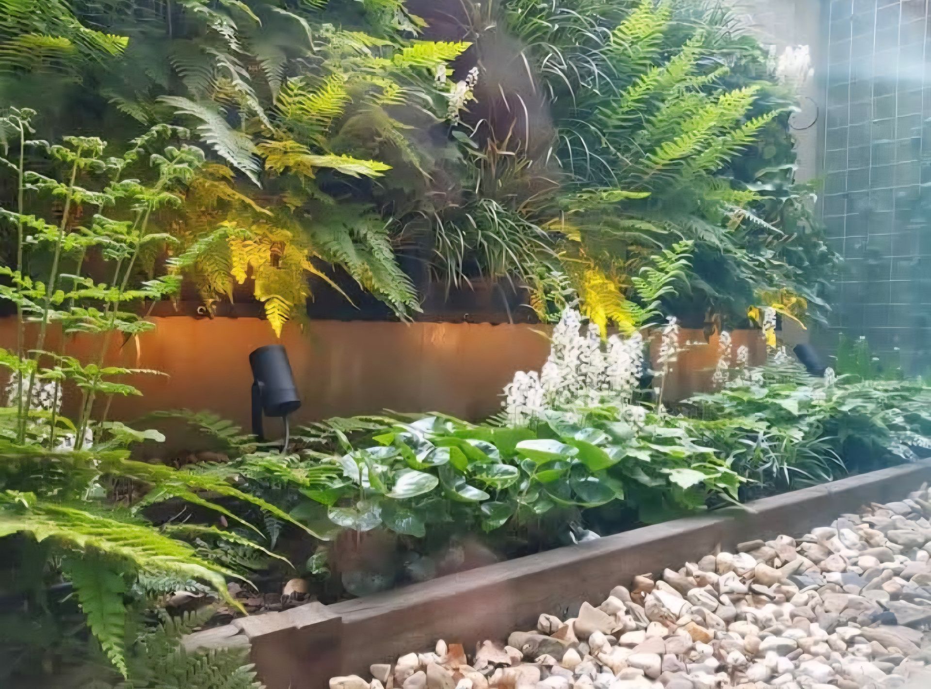A fish tank filled with lots of green plants and rocks.