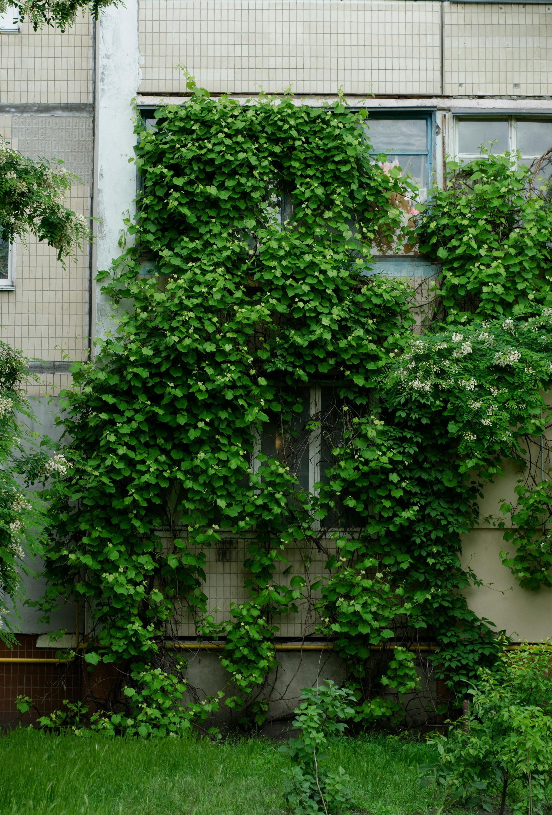 A building with a lot of green plants growing on it.