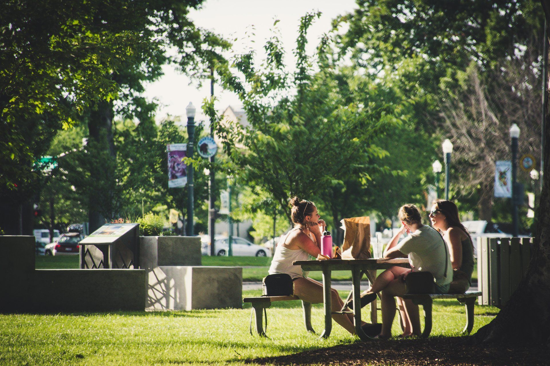 Three people sitting at a picnic table in a park, under trees on a sunny day.