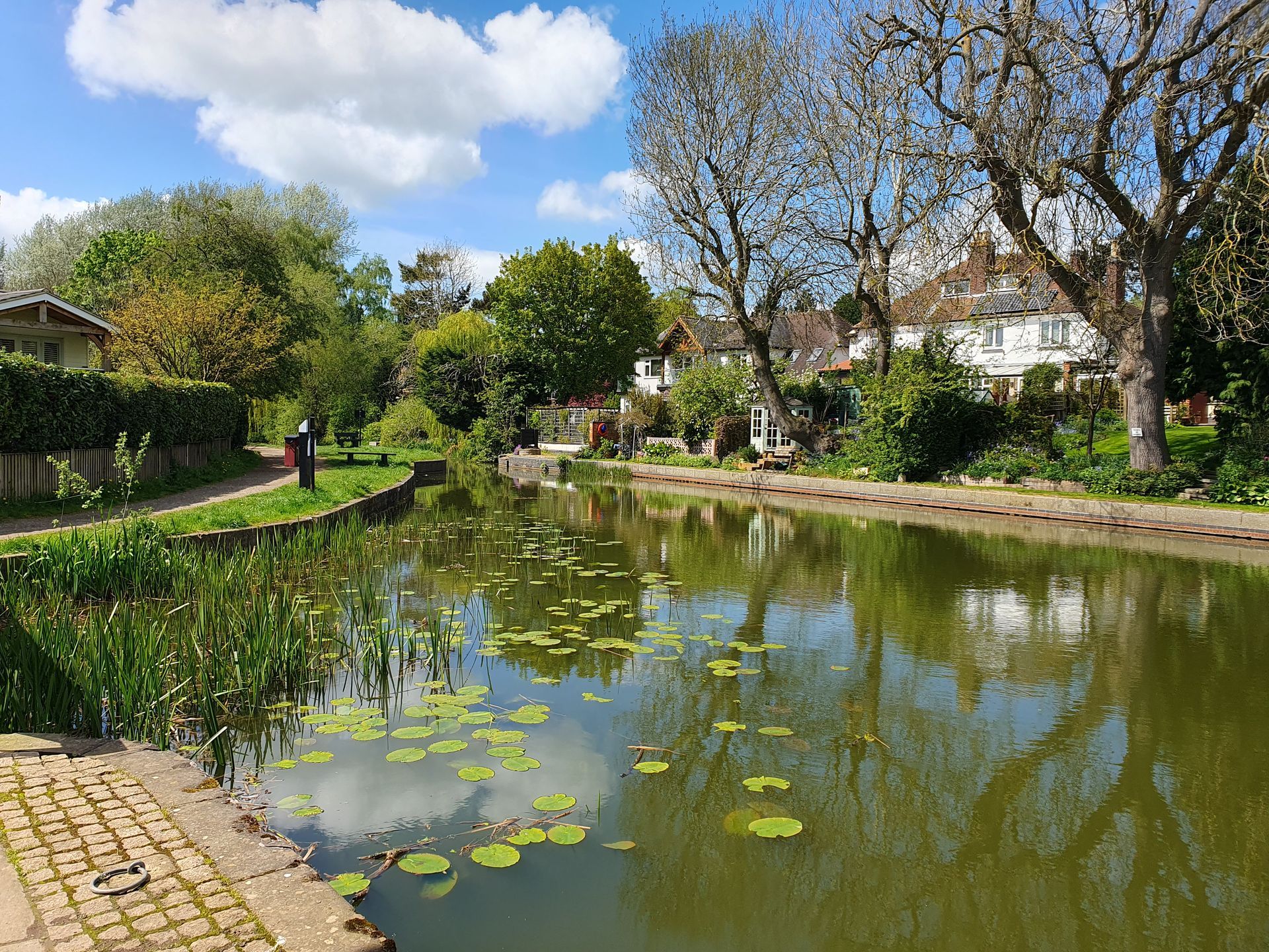 One of the ponds at Foxton Locks