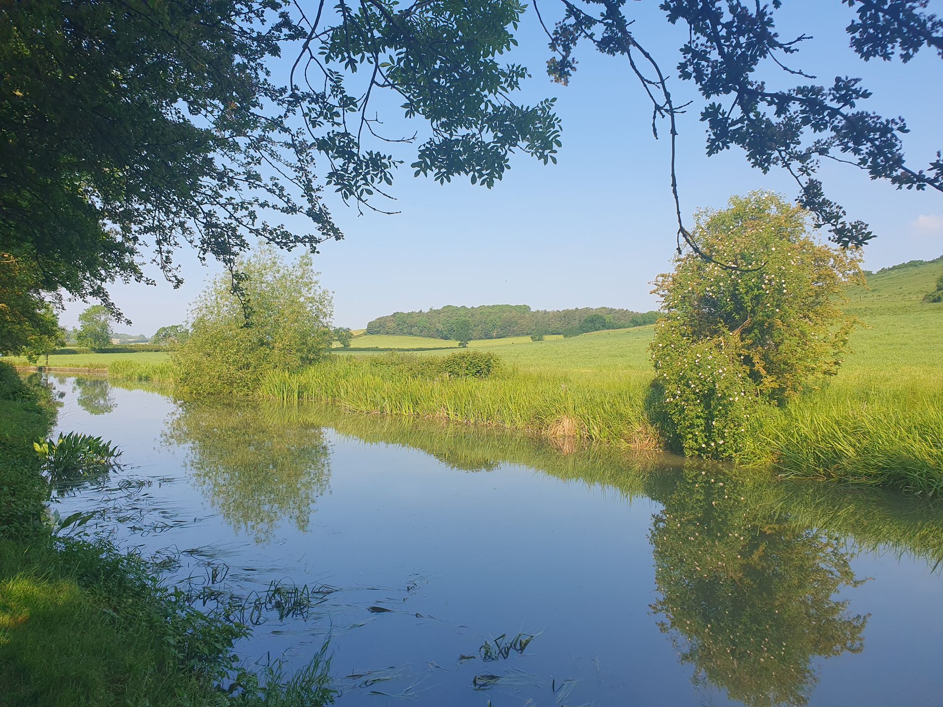 A canal scene reflecting a blue sky