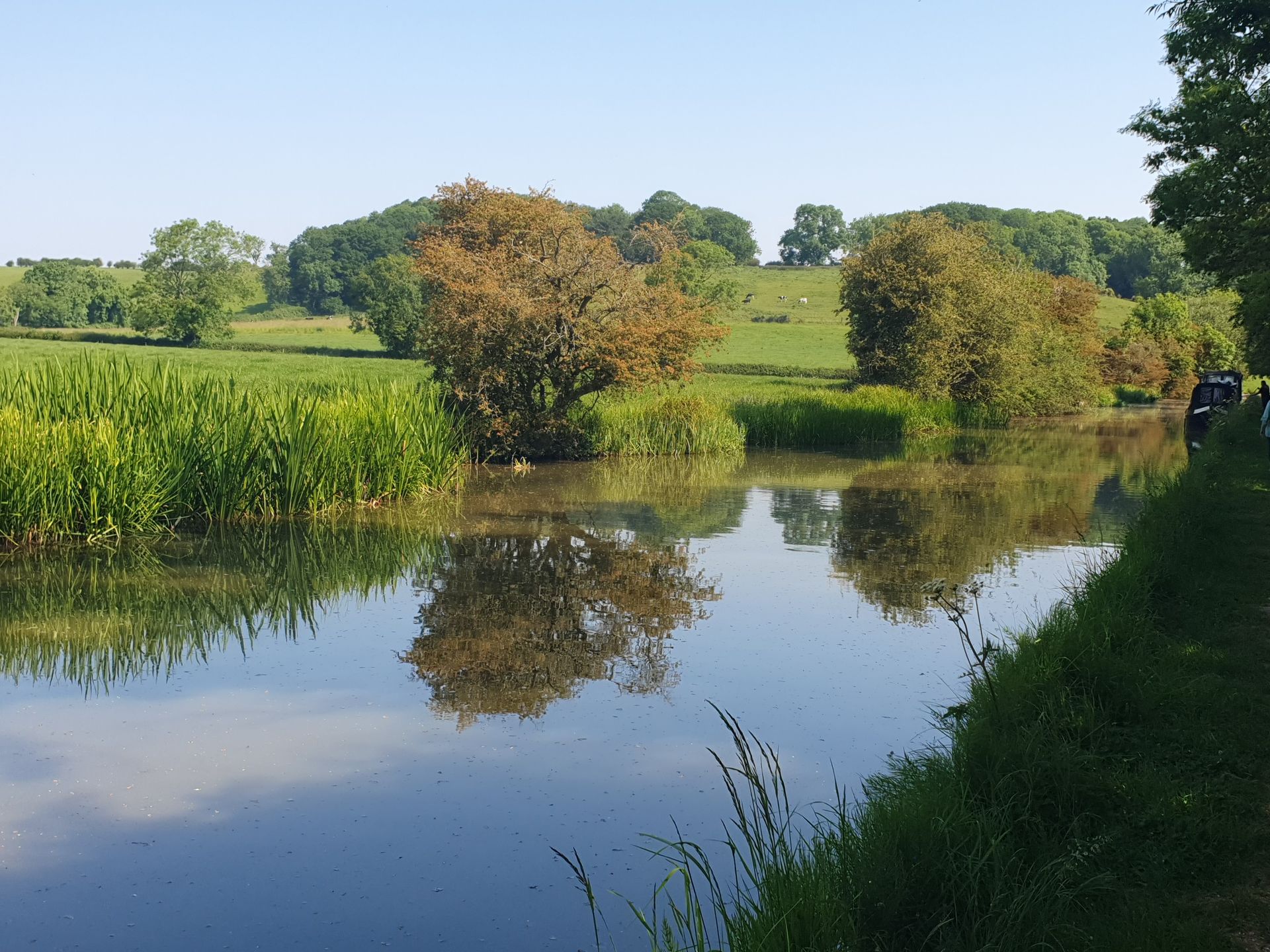 A canal scene in summer